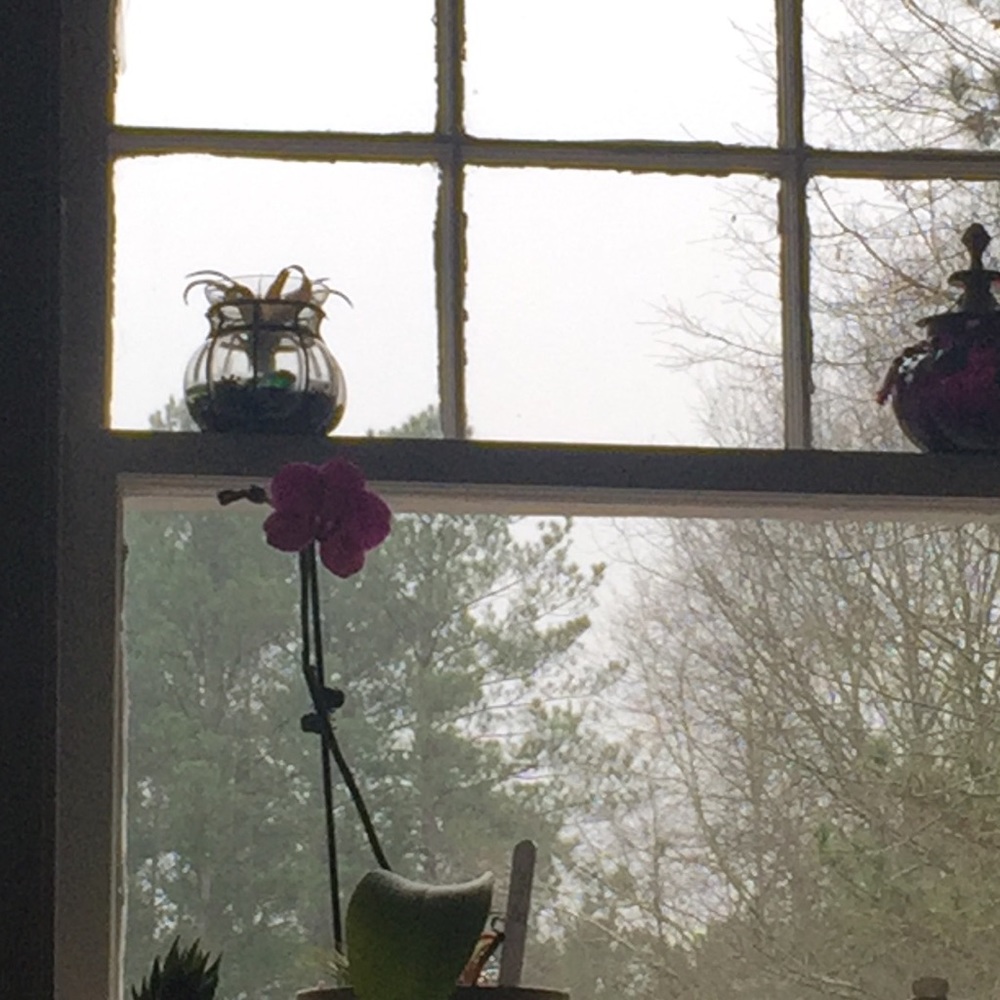 Meet your Posher, Carol